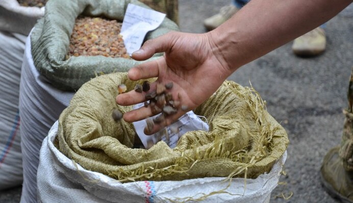 Главным таможенником Волыни может стать участник 