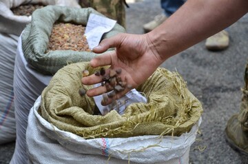 Главным таможенником Волыни может стать участник "янтарной мафии"