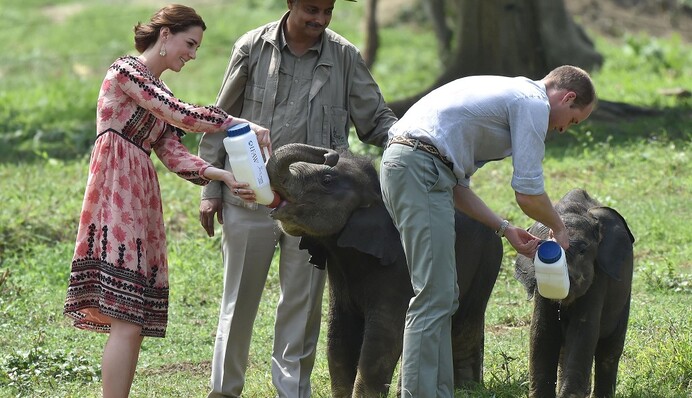 Кейт Миддлтон поразила своим гардеробом в Азии: опубликованы фото