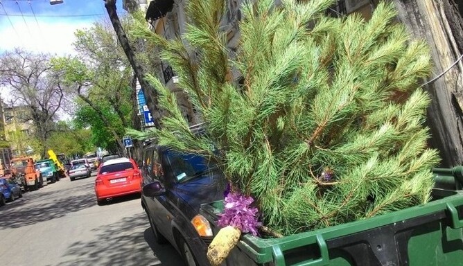 Одессит решился выбросить новогоднюю елку: опубликованы фото