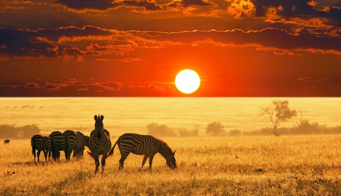 История взорвавшего сети видео с капризным ребенком в РФ получила продолжение