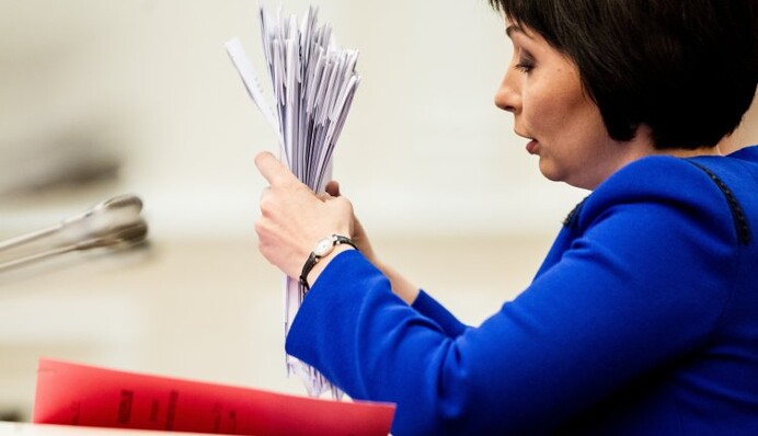 Задержание Лукаш: у Порошенко раскрыли новые подробности дела