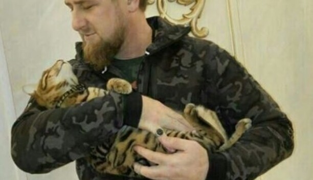 Соратник Путина сознался, куда делся его кот