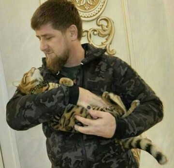 Соратник Путина сознался, куда делся его кот