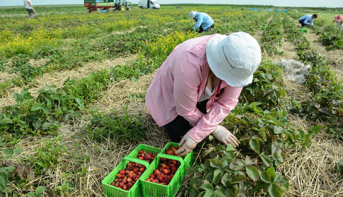 Каждый пятый украинец готов покинуть страну