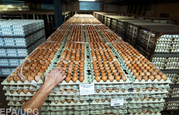 Снижение инфляции напугало производителей яиц