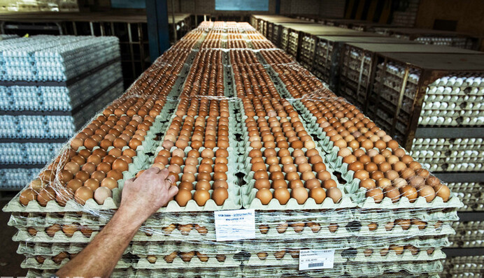 Снижение инфляции напугало производителей яиц
