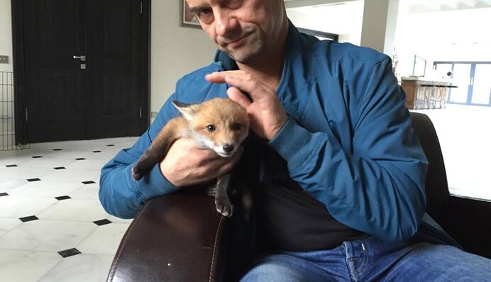 Нардеп взял на воспитание лиса: опубликовано фото