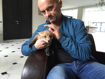 Нардеп взял на воспитание лиса: опубликовано фото