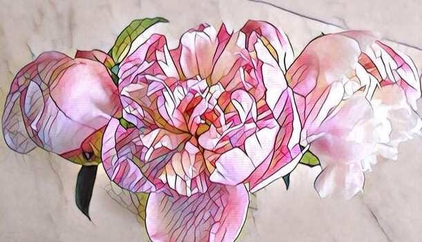 Prisma взорвала сеть: украинские звезды в восторге от нового приложения для обработки фото