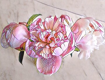 Prisma взорвала сеть: украинские звезды в восторге от нового приложения для обработки фото