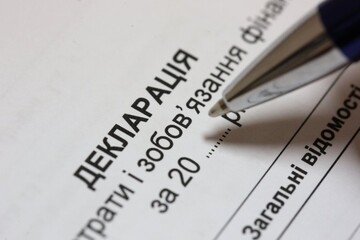 Я його зліпила з того, що було, - соцмережі обговорюють запуск системи е-декларування