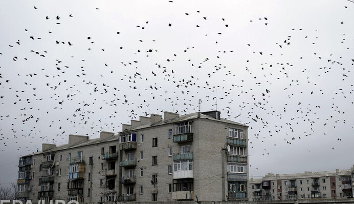 Відпустити або залишити: чи дасть щось Україні відторгнення Донбасу