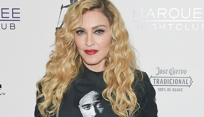 Мировая поп-звезда оголилась ради политики