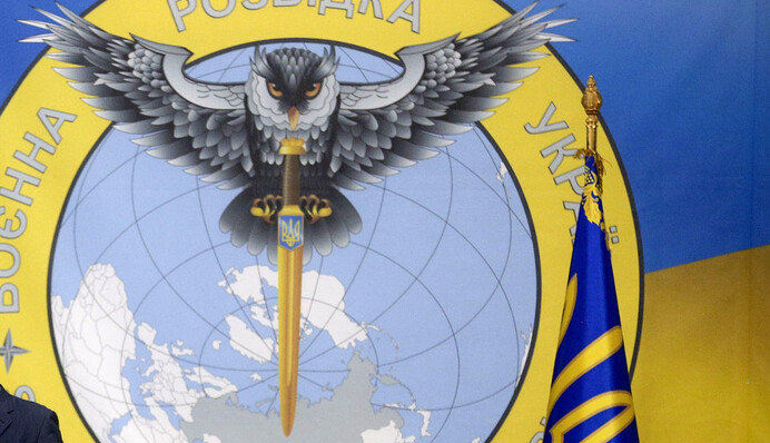 Просто передрали: від сови-розвідниці в Україні не всі в захваті