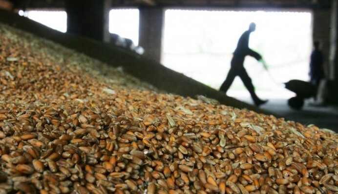 Нацбанку может не хватить денег аграриев для поддержания гривны