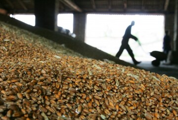 Нацбанку может не хватить денег аграриев для поддержания гривны