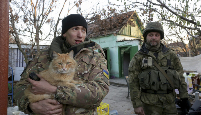 Окопи, обіди і котики: фото українських військових у момент тиші