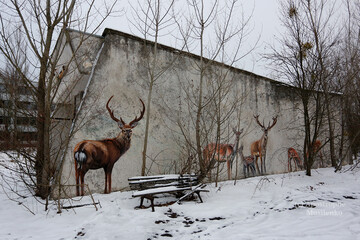 Ленін, мурали і лис Семен: зимові фото з Чорнобильської зони
