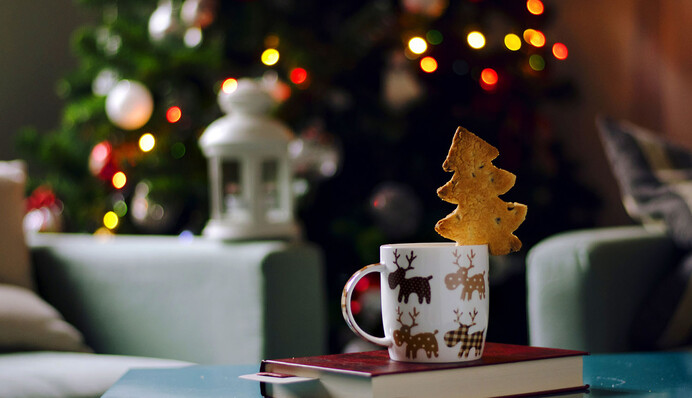 Звездное чтиво: какие книги почитать в новогодние праздники