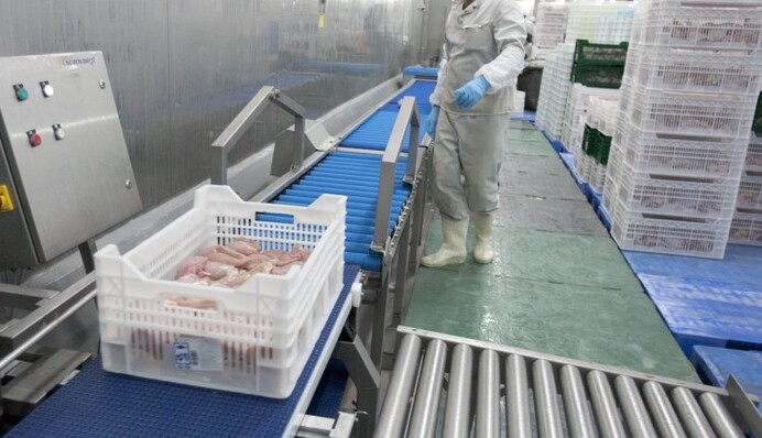 Торговая война с Россией: импортеры находят способы обойти запрет