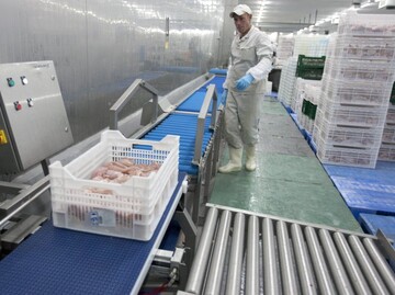 Торговая война с Россией: импортеры находят способы обойти запрет