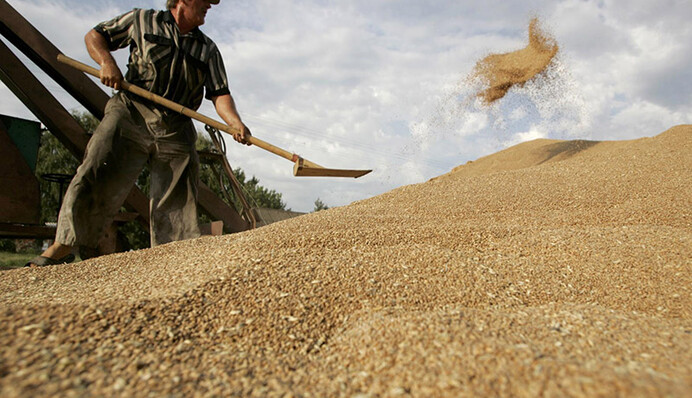 Продажа ГПЗКУ: почему Кутовой хочет завершить дело Януковича