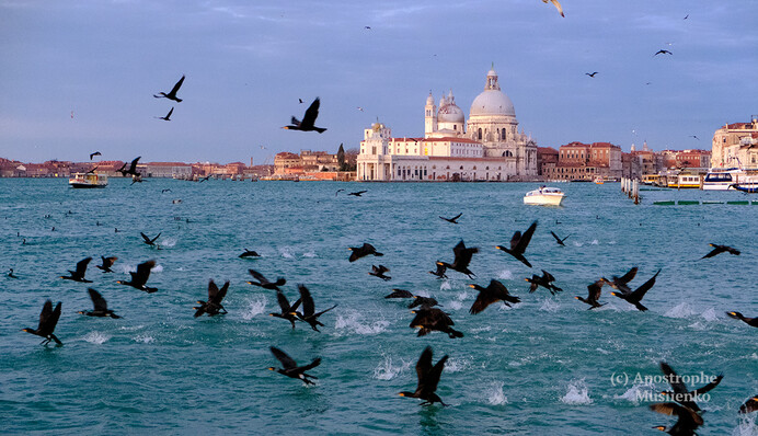 Напередодні карнавалу: фантастичні фото пустельної Венеції