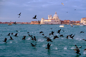 Напередодні карнавалу: фантастичні фото пустельної Венеції