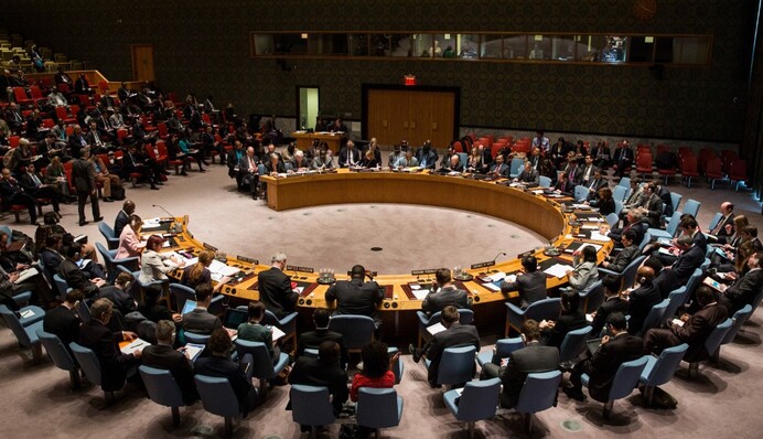 Нова роль України в Радбезі ООН: тягар чи шанс