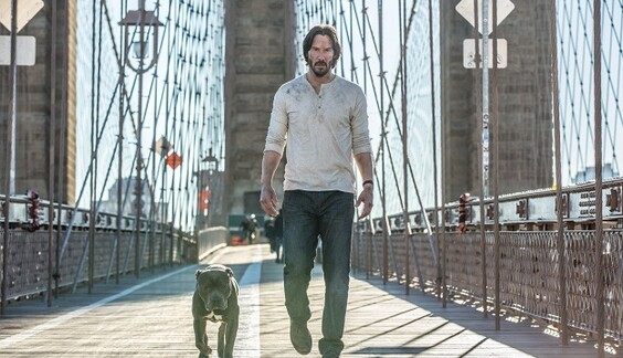 Главные премьеры недели: 