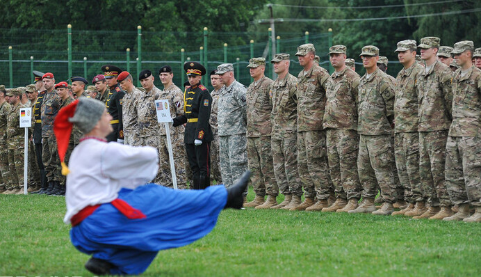 Що можна запропонувати Україні та Грузії замість членства в НАТО