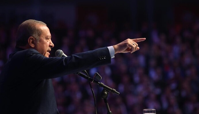 Нацизм в помощь: что стоит за скандалом между Турцией и Германией