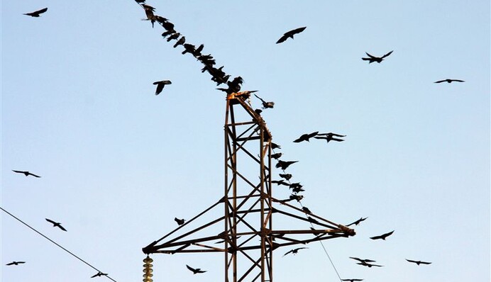 Конец энергетической эпопеи, или почему свет снова подорожает