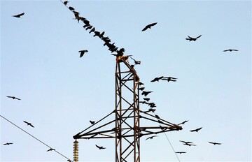 Конец энергетической эпопеи, или почему свет снова подорожает