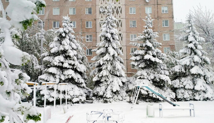 Україну засипало квітневим снігом: найяскравіші фото