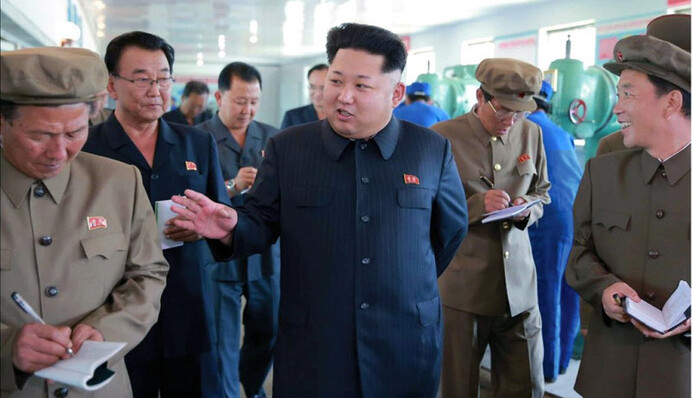 Золотая жила: почему Северной Корее выгоден конфликт в Сирии