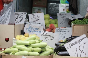 Защита или давление: зачем в Киеве подняли языковой вопрос