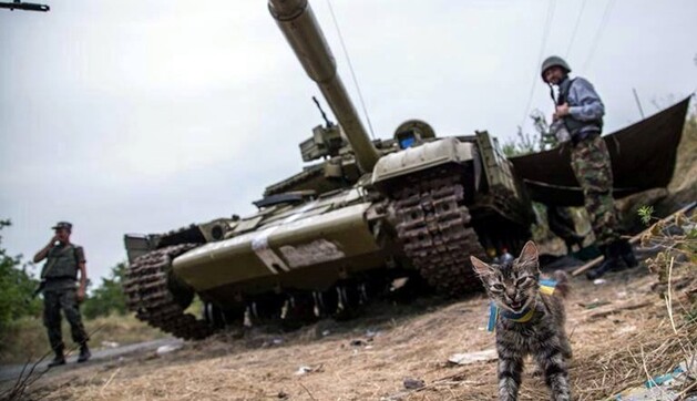 На Донбассе собаки спасают людей от обстрелов, а 