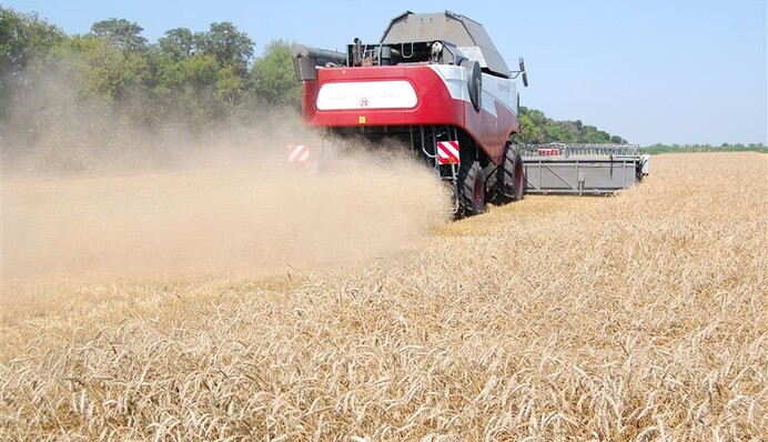 Чем грозит аграриям кризис на рынке удобрений