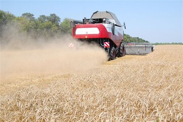 Чем грозит аграриям кризис на рынке удобрений