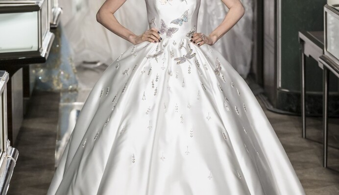 В сети появилось впечатляющее фото свадебного платья стоимостью два миллиона долларов