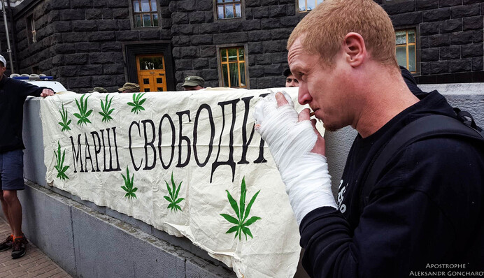 В Киеве под Кабмин принесли большие листья конопли: эксклюзивные фото