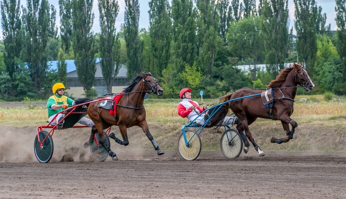 В Киеве полицейские и не только показали трюки на лошадях: яркие эксклюзивные фото