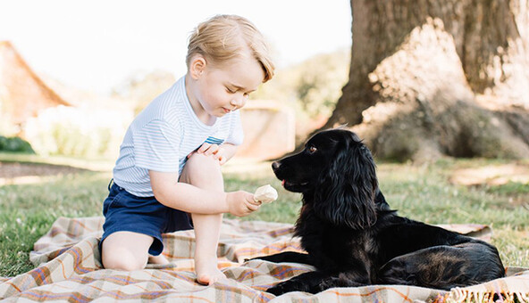 Сыну Кейт Миддлтон четыре года: биография и новое фото принца Джорджа