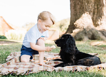 Сыну Кейт Миддлтон четыре года: биография и новое фото принца Джорджа