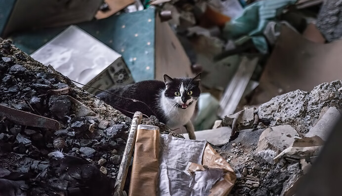 Кремль готує сценарій, за якого українці будуть стріляти один одного - військовий експерт