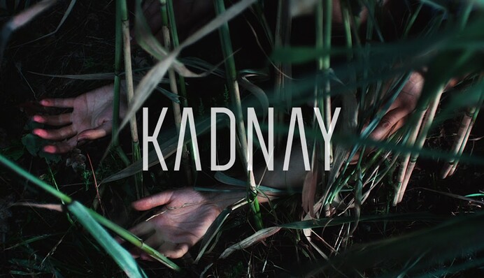 Поцелуи, жуки и скелеты: появилось впечатляющее видео группы KADNAY