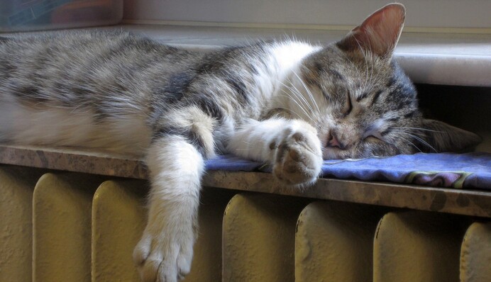 Опалювальний сезон в Україні: є одразу два болючих питання