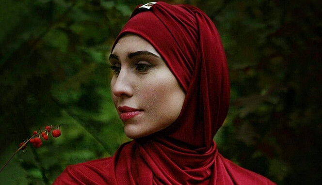 Могли стріляти громадяни України: головні версії вбивства Аміни Окуєвої